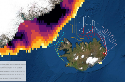 Leiðarlínur skipanna fimm sem tóku þátt í loðnumælingum í síðustu viku ásamt legu hafís.