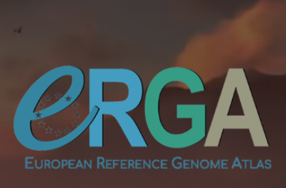 Image from ERGA webpage.