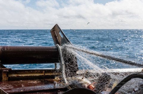 Ljósm. Svanhildur Egilsdóttir.