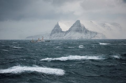 RS Bjarni Sæmundsson. Ljósm. Svanhildur Egilsdóttir.