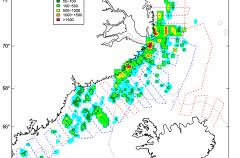 The survey tracks of RV Árni Friðriksson (red) and Tarajoq (blue) in August to September 2022 and th…