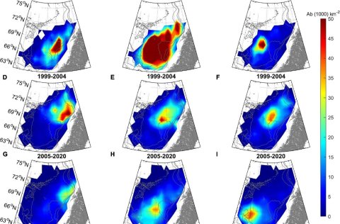 Mynd 1. Dreifing (þúsundir á ferkílómeter) norsk-íslenskrar síldar samkvæmt bergmálsmælingum í Noreg…