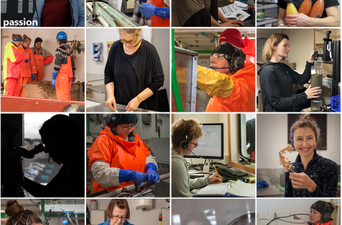 Myndir úr safni Hafrannsóknastofnunar