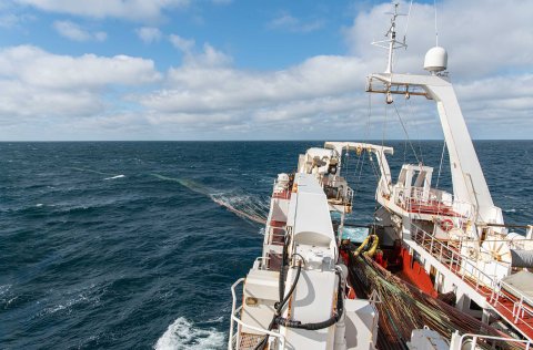 Mynd úr safni. Ljósm. Svanhildur Egilsdóttir