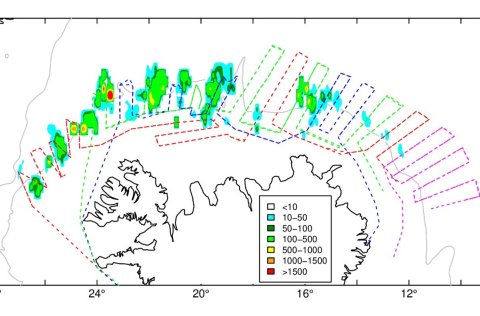 Survey tracks and distribution of capelin in January 2024 shown as acoustic values. Research vessels…