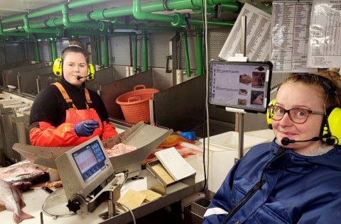 Kristín Inga Pétursdóttir Whitehead and Svandís Eva Aradóttir attending to otolith removal from hadd…