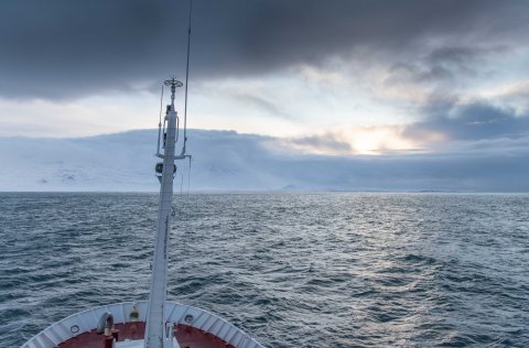 Rannsóknaskipið Árni Friðriksson HF 200 á miðunum úti fyrir Snæfellsnesi. 
Mynd: Svanhildur Egilsdó…