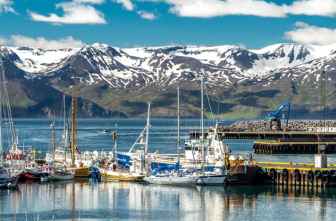 ESB verkefninu BioProtect hleypt af stokkunum