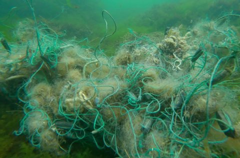 Abandoned, lost, and Otherwise Discarded Fishing Gear in World’s Inland Fisheries
