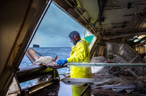 Mynd: Svanhildur Egilsdóttir