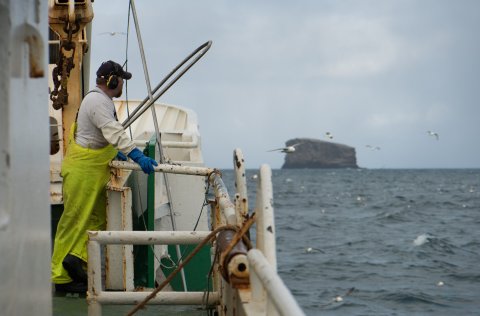 Picture: Svanhildur Egilssdóttir