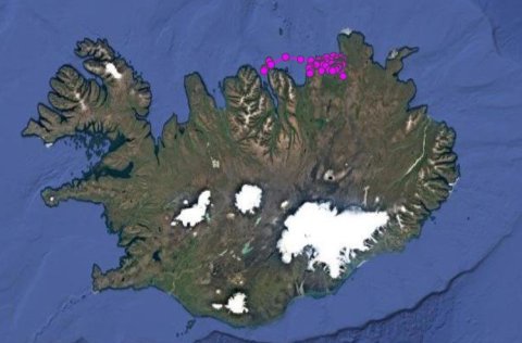 Whale tagging with new satellite tags
