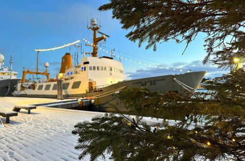 Happy Christmas and a Merry Marine and Freshwater Research Year!