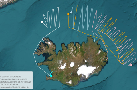 The coverage of four vessels in the capelin survey during 16-23th January 2025