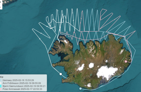Mynd 1. Yfirferð skipa í loðnumælingum dagana 8.-19. febrúar 2025. 
Athugið, hægt er að smella á my…