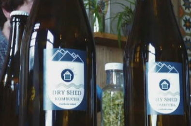 Would you like to taste seaweed kombucha?