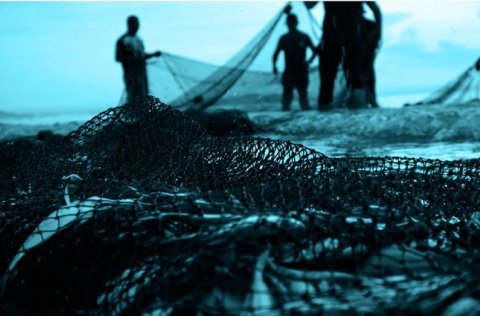 Sjávarútvegsskóli Gró og sjálfbærar fiskveiðar í þróunarlöndum á opnum fundi