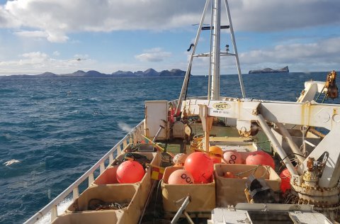 Ljósm. Valur Bogason