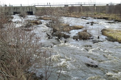 Ljósm. Friðþjófur Árnason