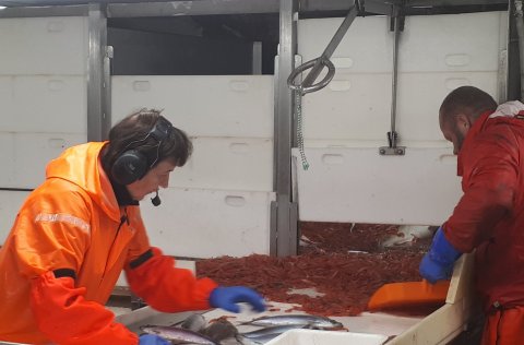 Ljósm. Ingibjörg Jónsdóttir