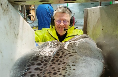 Ásgeir Gunnarsson sérfræðingur á Hafrannsóknastofnun og einn helsti hlýrafræðingur landsins er glaðb…