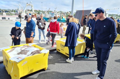Fiskasýning og opið hús á sjómannadegi