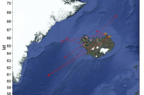 2. mynd. Merkingastaðir (rauðir hringir) og endurheimtustaðir (appelsínugulir hringir) sjö hrognkels…