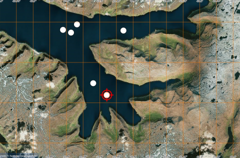 Nýjustu staðsetningar hnúfubakanna í Arnarfirði að morgni 9. september 2019.