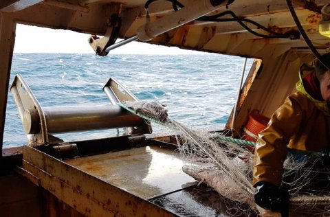 Ljósm. Valur Bogason