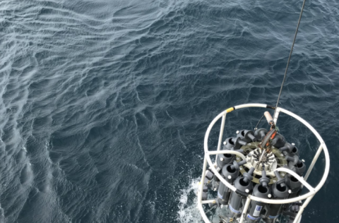 Ljósm. Alice Benoit-Catten