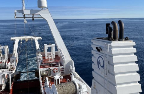 Yfirborðstog í Grænlandssundi í júlí 2023, segl og belgir sjást í yfirborði. Ljósm. Anna Heiða Ólafs…