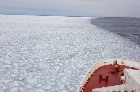 Ljósm. Birkir Bárðarson.