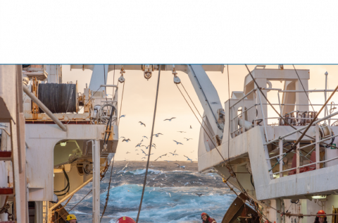 Ársskýrsla 2016-2018 komin út