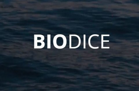 Mynd er tekin af vef Biodice.is