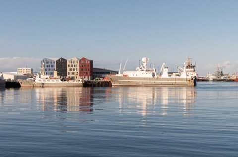 Ljósm. Svanhildur Egilsdóttir