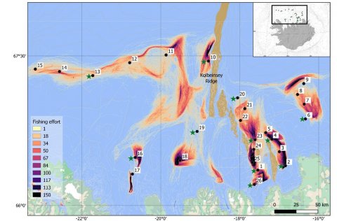 1. mynd. Staðsetning stöðva (punktar sýna hvar myndir voru teknar og stjörnur hvar botngreipar voru …