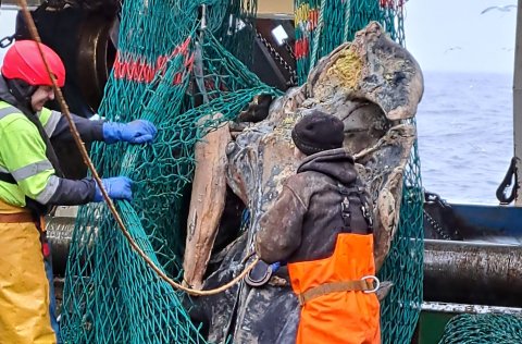 Mynd úr haustralli 2023, tekin um borð í Breka. Ljósm. Kristín Valsdóttir