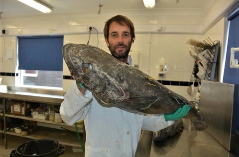 Mynd af Brendon Lee, fyrirlesara málstofunnar.