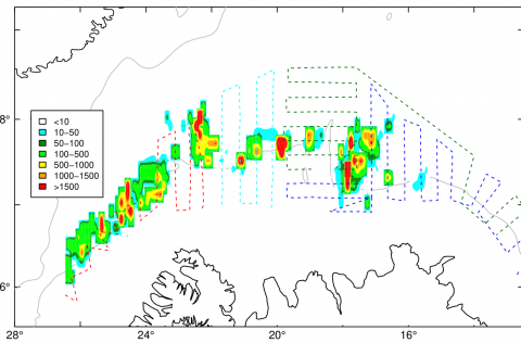 Leiðangurslínur og dreifing loðnu í desember 2020