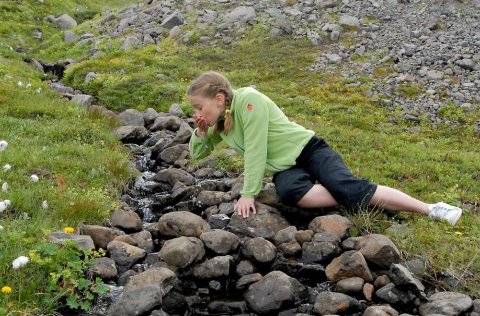 Líklega er íslenska vatnið best í heimi. Mörgum útlendingnum þykir merkilegt að hægt sé að drekka va…