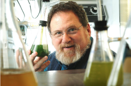 Eru smáþörungar og stórþörungar framtíðin?