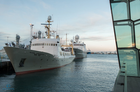 Stofnmæling botnfiska 2018