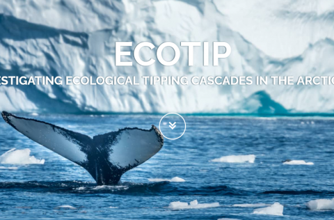 Mynd er klippt af vefsíðu ECOTIP