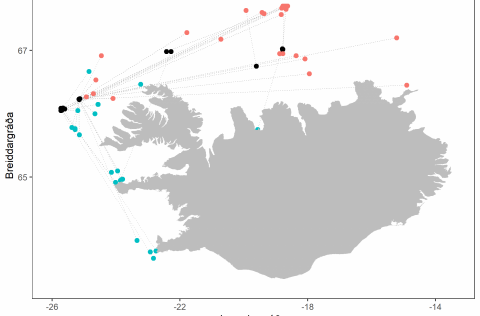 Endurheimtur úr merkingum árið 2019. Bláir punktar eru endurheimtur á hrygningartíma (mars-maí) en r…