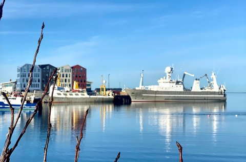 Ert þú sá rekstrarstjóri eigna sem við leitum að?