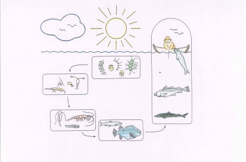 Mynd: Kristinn Guðmundsson, Sigurður Gunnarsson, Kristín Valsdóttir