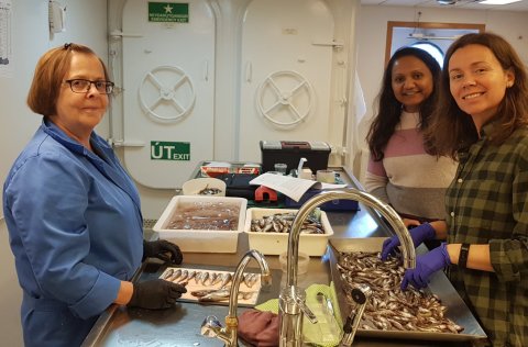 Rannsóknafólk í loðnuleiðangri. Ljósm. Birkir Bárðarson