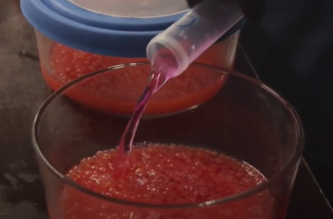 Kyrrmynd úr myndbandi.