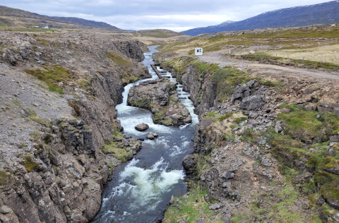 Fiskteljari í fiskvegi í Laugardalsá