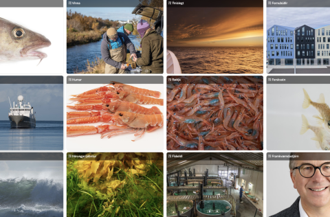 Fagur fiskur í sjó - gagnvirk miðlun og bætt upplýsingaþjónusta